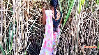 Outdoor Threesome With Hot Desi Chudai In Sugarcane Field