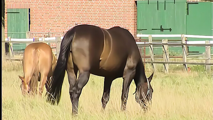 En Ung Pige Med Naturlige Bryster Nyder Udendørs Selvfornøjelse I En Klassisk Tysk Amatørvideo