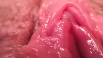 Orgasme Vagina Yang Ketat Tertangkap Di Webcam