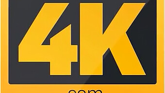 Hunt 4k: Pervens Ultimata Fantasi Uppfylld Av Kontanter