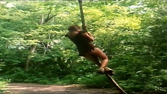 Petualangan Liar Tarzan Dalam Video Vintage Berkualitas Tinggi